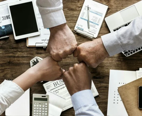 it-strategy-and-support-netvurq